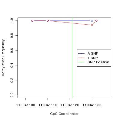 Allele Specific Methylation Frequency Diagram for chr12 110341121 SNP.