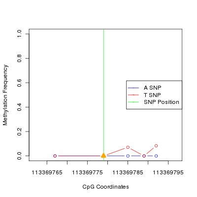 Allele Specific Methylation Frequency Diagram for chr12 113369779 SNP.
