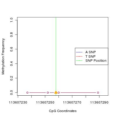 Allele Specific Methylation Frequency Diagram for chr12 113607258 SNP.