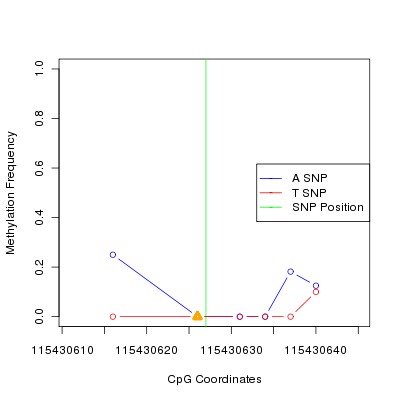 Allele Specific Methylation Frequency Diagram for chr12 115430627 SNP.