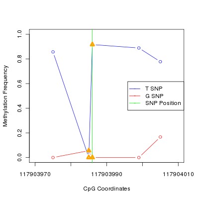 Allele Specific Methylation Frequency Diagram for chr12 117903986 SNP.