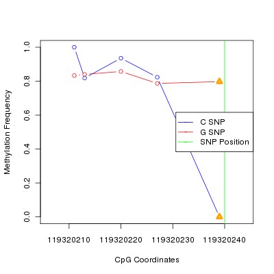 Allele Specific Methylation Frequency Diagram for chr12 119320240 SNP.