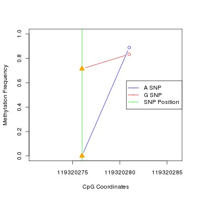 Allele Specific Methylation Frequency Diagram for chr12 119320276 SNP.