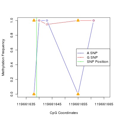 Allele Specific Methylation Frequency Diagram for chr12 119661639 SNP.