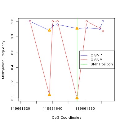 Allele Specific Methylation Frequency Diagram for chr12 119661655 SNP.