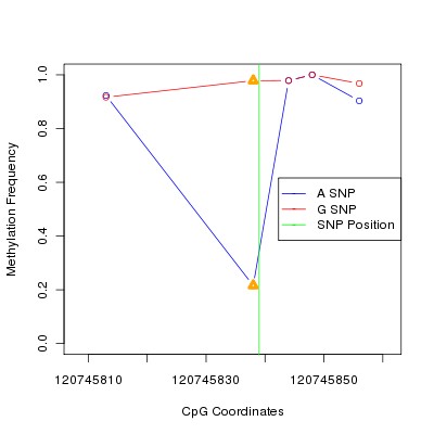 Allele Specific Methylation Frequency Diagram for chr12 120745839 SNP.