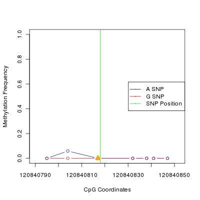 Allele Specific Methylation Frequency Diagram for chr12 120840818 SNP.