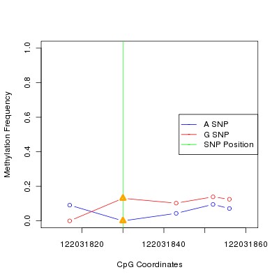 Allele Specific Methylation Frequency Diagram for chr12 122031830 SNP.