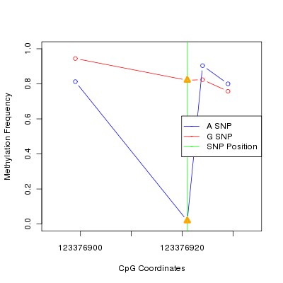 Allele Specific Methylation Frequency Diagram for chr12 123376921 SNP.