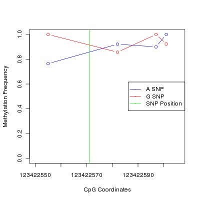 Allele Specific Methylation Frequency Diagram for chr12 123422571 SNP.