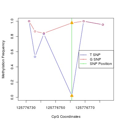Allele Specific Methylation Frequency Diagram for chr12 125776761 SNP.