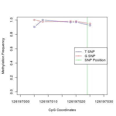 Allele Specific Methylation Frequency Diagram for chr12 126197024 SNP.