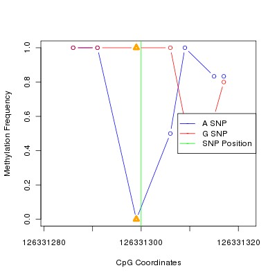 Allele Specific Methylation Frequency Diagram for chr12 126331300 SNP.