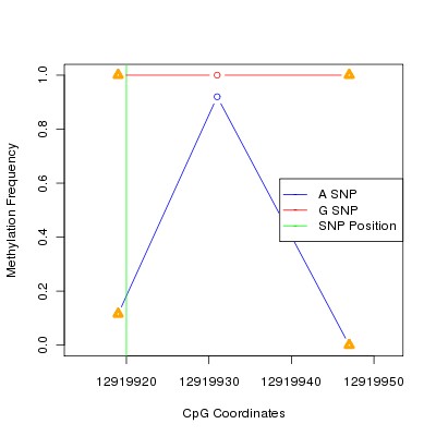 Allele Specific Methylation Frequency Diagram for chr12 12919920 SNP.