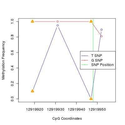 Allele Specific Methylation Frequency Diagram for chr12 12919948 SNP.