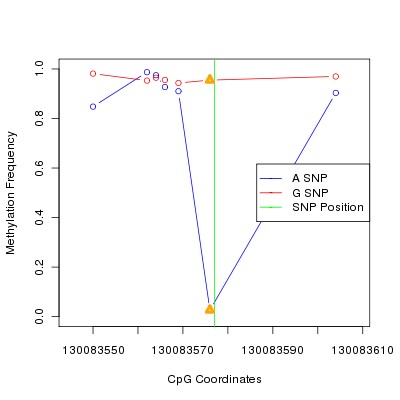 Allele Specific Methylation Frequency Diagram for chr12 130083577 SNP.