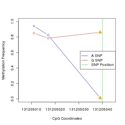 Allele Specific Methylation Frequency Diagram for chr12 131205040 SNP.