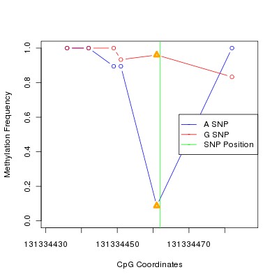 Allele Specific Methylation Frequency Diagram for chr12 131334462 SNP.