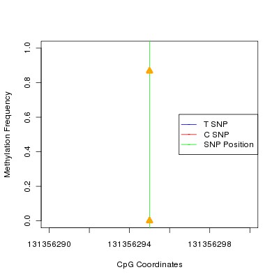 Allele Specific Methylation Frequency Diagram for chr12 131356295 SNP.