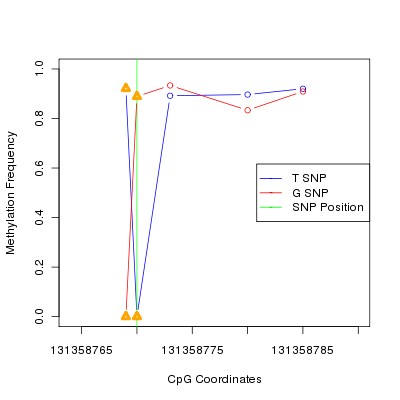 Allele Specific Methylation Frequency Diagram for chr12 131358770 SNP.