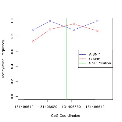 Allele Specific Methylation Frequency Diagram for chr12 131406628 SNP.