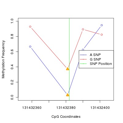 Allele Specific Methylation Frequency Diagram for chr12 131432382 SNP.