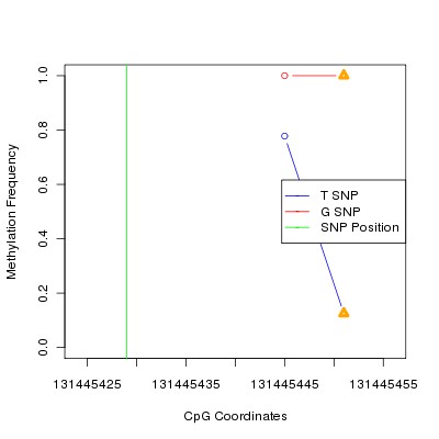 Allele Specific Methylation Frequency Diagram for chr12 131445429 SNP.