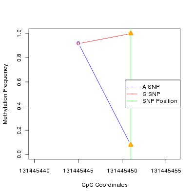 Allele Specific Methylation Frequency Diagram for chr12 131445451 SNP.