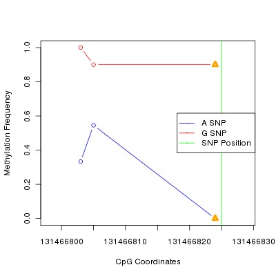 Allele Specific Methylation Frequency Diagram for chr12 131466825 SNP.