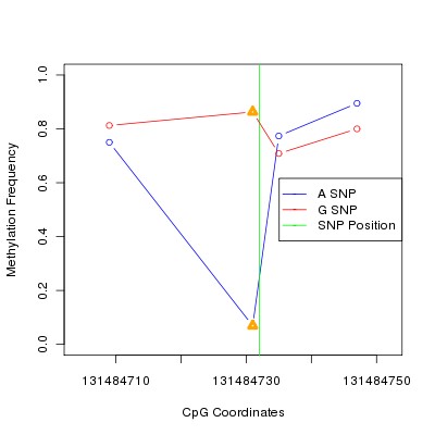 Allele Specific Methylation Frequency Diagram for chr12 131484732 SNP.