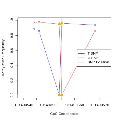 Allele Specific Methylation Frequency Diagram for chr12 131493555 SNP.