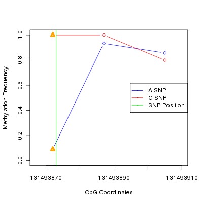 Allele Specific Methylation Frequency Diagram for chr12 131493873 SNP.