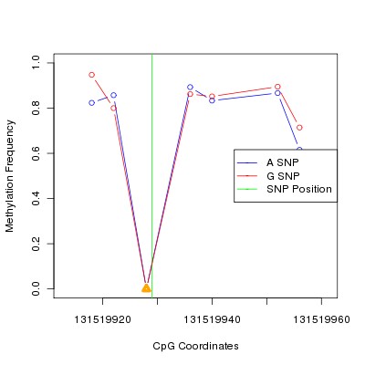 Allele Specific Methylation Frequency Diagram for chr12 131519929 SNP.