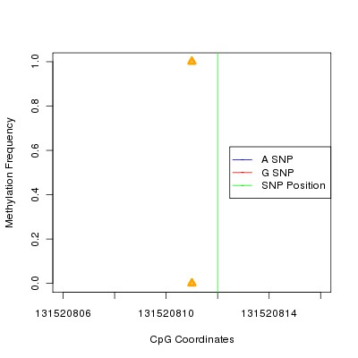 Allele Specific Methylation Frequency Diagram for chr12 131520812 SNP.