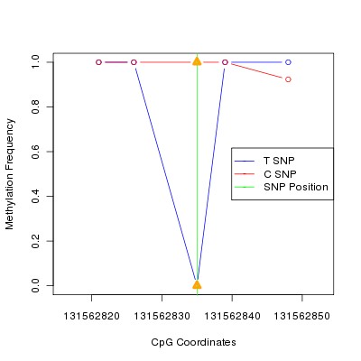 Allele Specific Methylation Frequency Diagram for chr12 131562835 SNP.