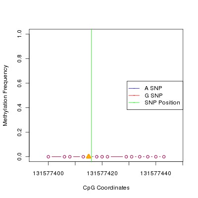 Allele Specific Methylation Frequency Diagram for chr12 131577416 SNP.