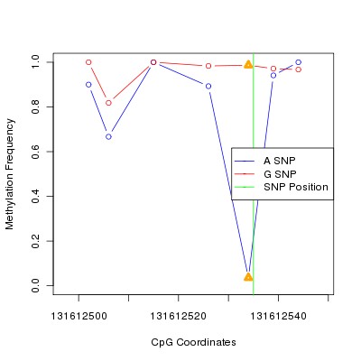 Allele Specific Methylation Frequency Diagram for chr12 131612535 SNP.