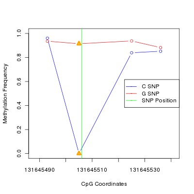 Allele Specific Methylation Frequency Diagram for chr12 131645506 SNP.