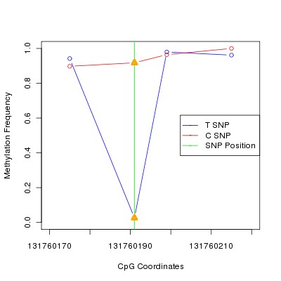 Allele Specific Methylation Frequency Diagram for chr12 131760191 SNP.