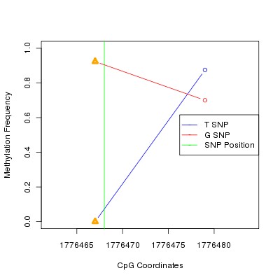 Allele Specific Methylation Frequency Diagram for chr12 1776468 SNP.