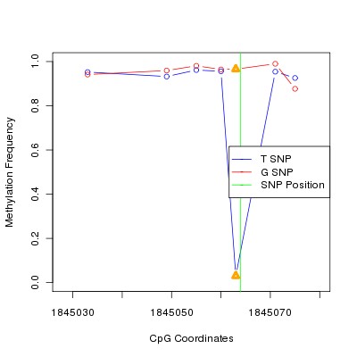 Allele Specific Methylation Frequency Diagram for chr12 1845064 SNP.