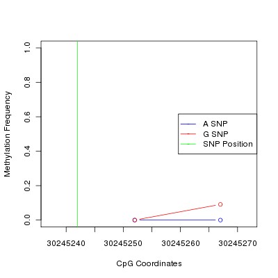 Allele Specific Methylation Frequency Diagram for chr12 30245242 SNP.