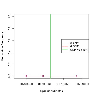 Allele Specific Methylation Frequency Diagram for chr12 30799363 SNP.