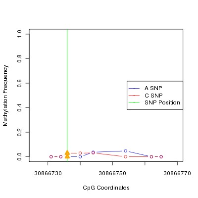 Allele Specific Methylation Frequency Diagram for chr12 30866736 SNP.