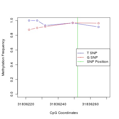 Allele Specific Methylation Frequency Diagram for chr12 31836252 SNP.