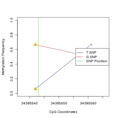 Allele Specific Methylation Frequency Diagram for chr12 34385543 SNP.