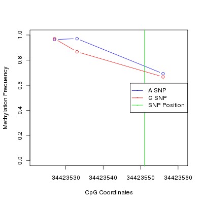 Allele Specific Methylation Frequency Diagram for chr12 34423551 SNP.