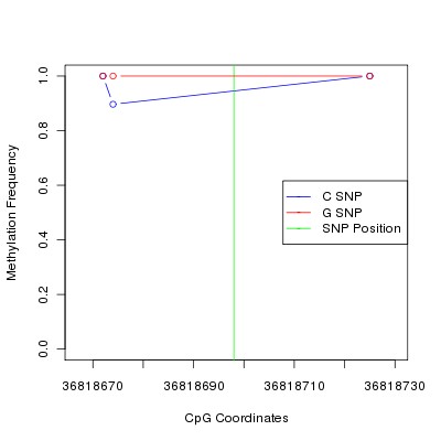 Allele Specific Methylation Frequency Diagram for chr12 36818698 SNP.