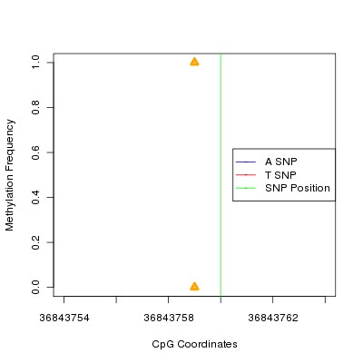Allele Specific Methylation Frequency Diagram for chr12 36843760 SNP.