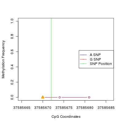 Allele Specific Methylation Frequency Diagram for chr12 37585672 SNP.